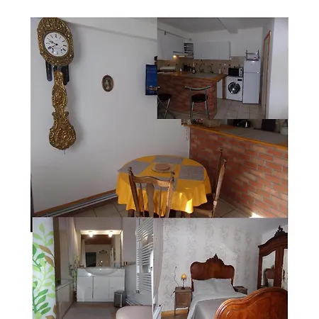 公寓 Chez Elena & Filipp B *